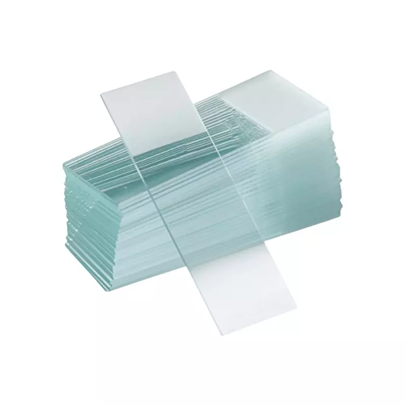 All Type Of Microscope Slides